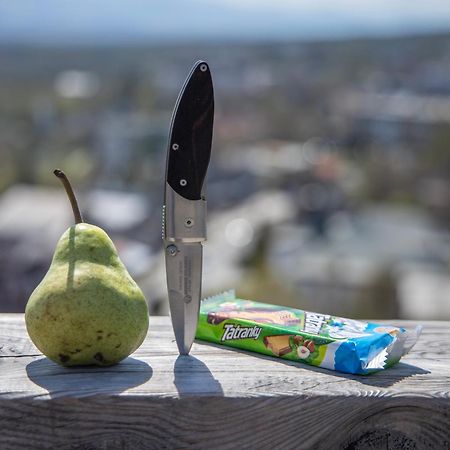 Apartmany Lesy A Luky - V Srdci Tatier Vysoké Tatry Eksteriør billede